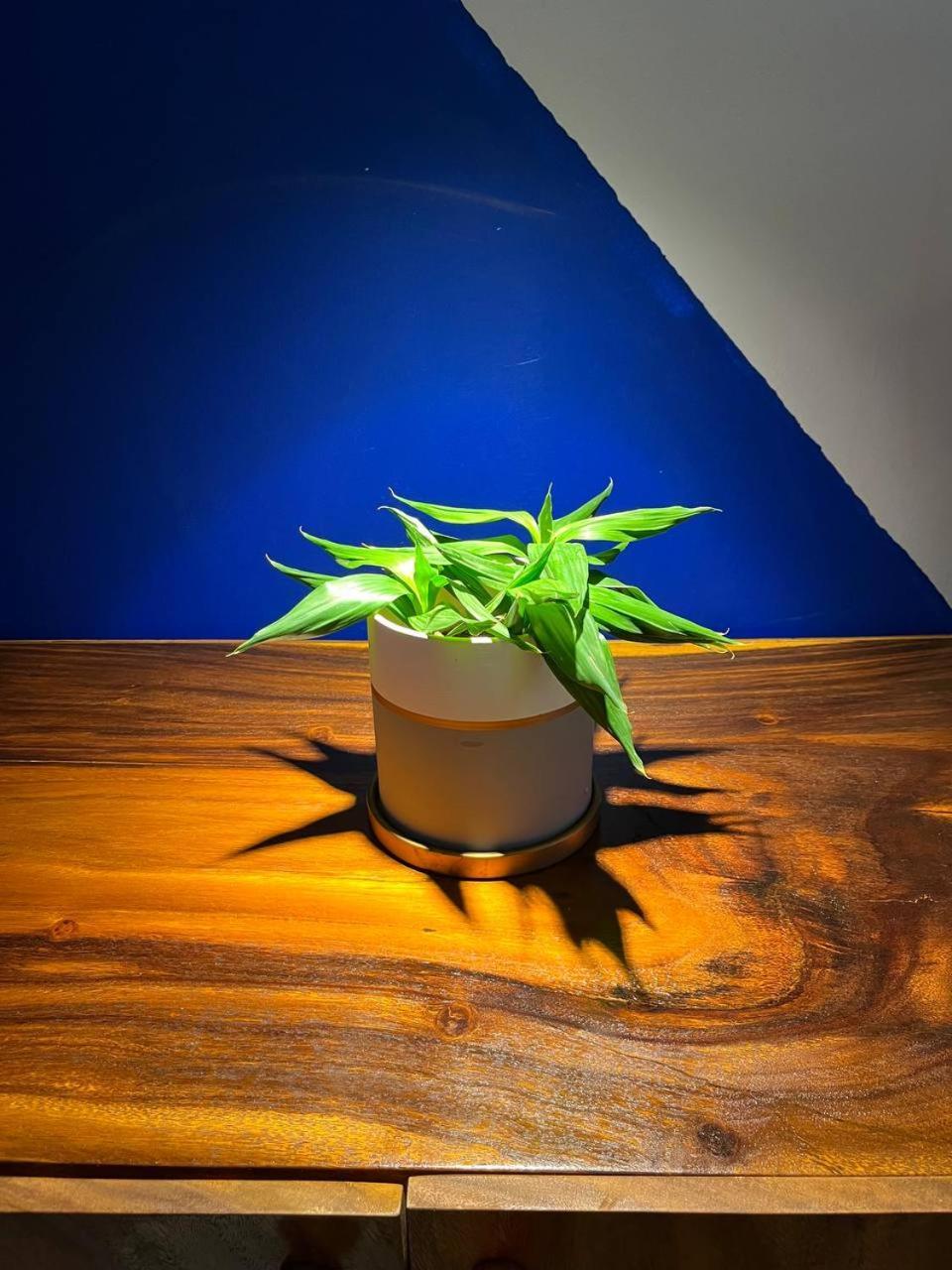 Por Chey Guesthouse バッタンバン エクステリア 写真